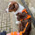 Führleine WOOFLEX® Pro verstellbar Sunset Orange