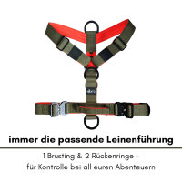 Y-Hundegeschirr 4fach-verstellbar mit Griff und Sicherheitsschnallen Hunter Glow - ultraleicht