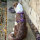 Y-Hundegeschirr 4fach-verstellbar mit Griff und Sicherheitsschnallen Velvet Purple - ultraleicht