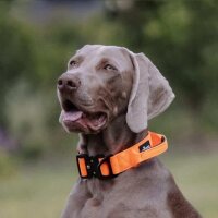 Nylon Tactical Halsband Safety Orange - ultraleicht