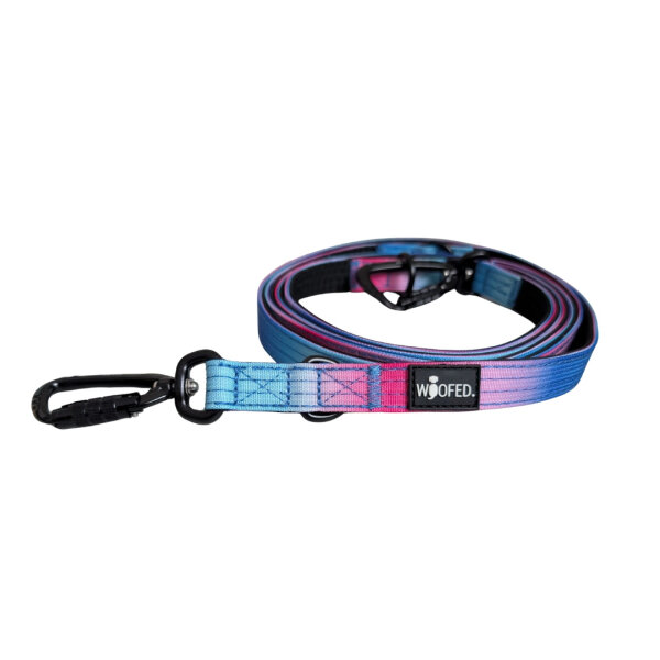 Nylon Pro Führleine Pink Blue Sky