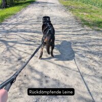Jogging- & Wanderleine mit Handschlaufe,...