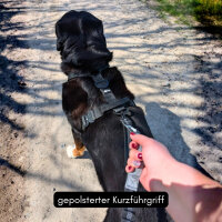 Jogging- & Wanderleine mit Handschlaufe, Bungee-Ruckdämpfer & Sicherheitskarabiner aus Nylon