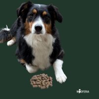Geflügel Trainings Softie