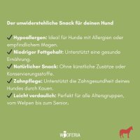 Pferde Mini Lungenwürfel