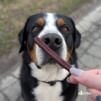 Pferdedörrfleisch Sticks