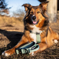 Nylon Tactical Halsband Sage Green - ultraleicht