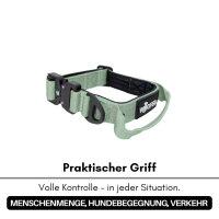 taktisches Nylon Halsband für kleine Hunde Sage Green