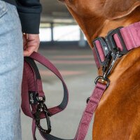 Nylon Tactical Halsband Bordeaux - ultraleicht