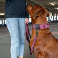 Nylon Tactical Halsband Bordeaux - ultraleicht