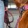 Nylon Tactical Halsband Bordeaux - ultraleicht
