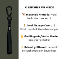 Kurzführer WOOFLEX®