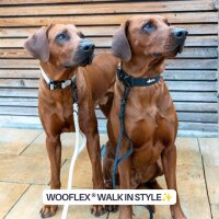 Halsband WOOFLEX® Tactical verstellbar ohne Griff Desert Sand