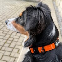 Halsband WOOFLEX® Tactical verstellbar ohne Griff...