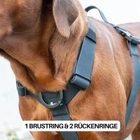 Y-Hundegeschirr WOOFLEX® 4fach-verstellbar mit Griff und Sicherheitsschnallen Phantom Black - wasserfest