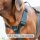 Y-Hundegeschirr WOOFLEX® 4fach-verstellbar mit Griff und Sicherheitsschnallen Phantom Black - wasserfest
