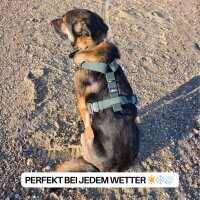 Y-Hundegeschirr WOOFLEX® 4fach-verstellbar mit Griff und Sicherheitsschnallen Hunting Green - wasserfest