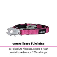 Nylon Tactical Führleine Raspberry - Leine 2.5m 3-fach verstellbar mit integriertem Griff