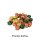 Snack & Store Bundle