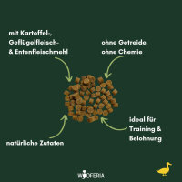 Ente Softies