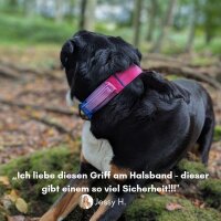 Halsband-Leinen-Set Nylon Pink Blue Sky
