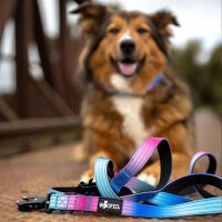 Halsband-Leinen-Set Nylon Pink Blue Sky