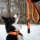 Halsband-Leinen-Set Nylon Safety Orange