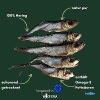 Hering