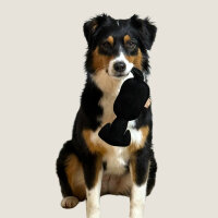 Hundespielzeug WOOFED. Logo Hund