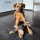 nachhaltiges Hundespielzeug Ente Ella