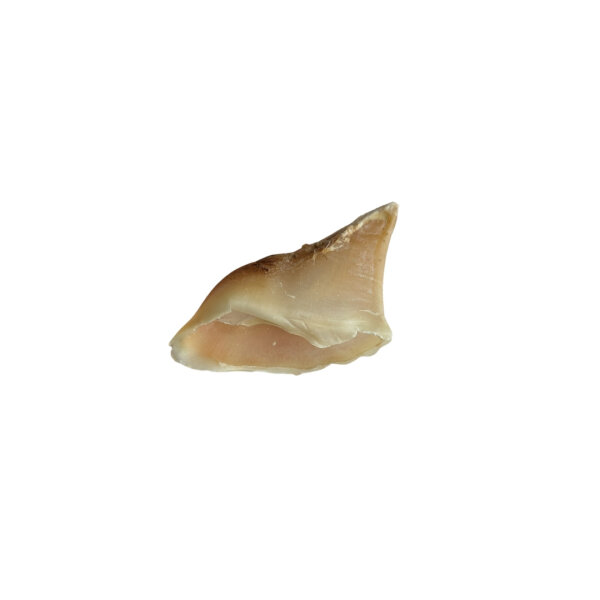 Kalbshufe