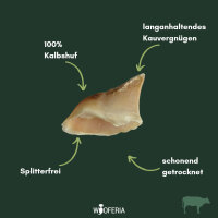 Kalbshufe