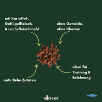 Lachs Softies
