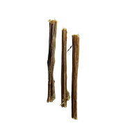 Pferde Kausticks