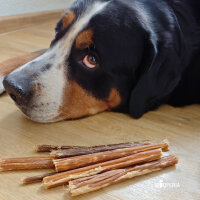 Pferde Kausticks