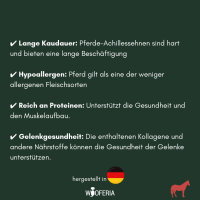 Pferdeachillessehne
