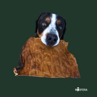 Pferdehaut Platten