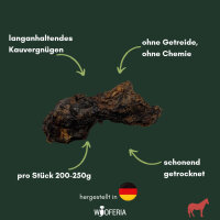 Pferdekehlkopf