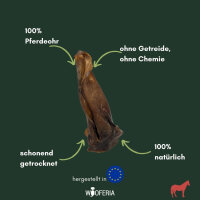 Pferdeohr