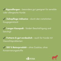 Pferdeohr