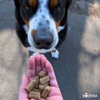 Rinder Naturkraft Snacks, kaltgepresst