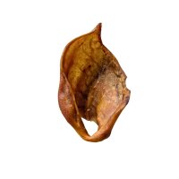 Schweineohr