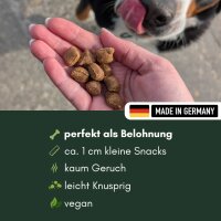 Früchte Kissen