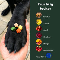 Früchte Softies