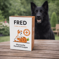 Morosche Karottensuppe