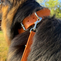 Lederhalsband Classic Soft - Cognac