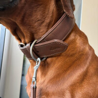 Lederhalsband Classic Soft - Dark Brown