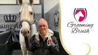 Excellent Horse Grooming Brush L Rosa