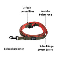Nylon Classic Führleine Hunter Glow