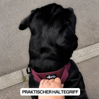 Halsband WOOFLEX® Tactical verstellbar mit Griff Burgundy